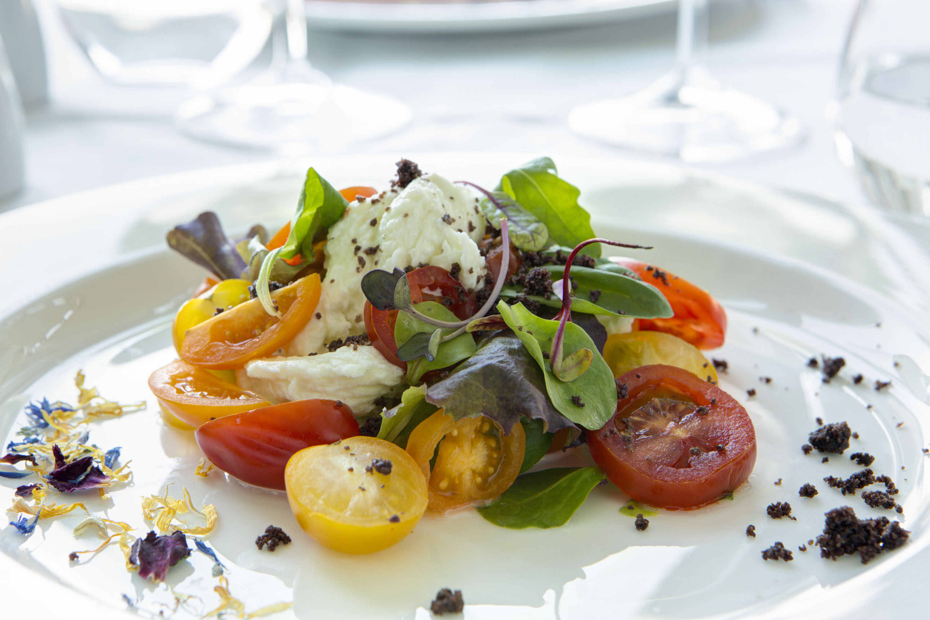 Caprese Salad at Mediterra Restaurant - Almar Jesolo Resort & Spa